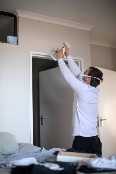 Best Mold Prevention Services  in Alamosa, CO