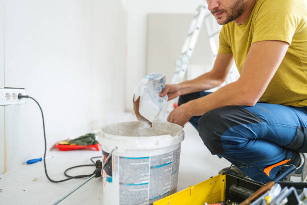 Best Mold Removal for HVAC Installations  in Alamosa, CO