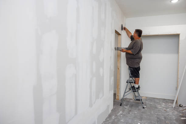 Best Residential Mold Inspection & Testing  in Alamosa, CO