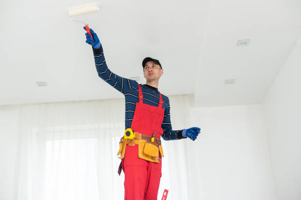 Mold Documentation for Insurance Claims in Alamosa, CO