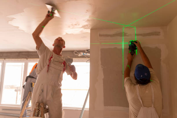 Best Comprehensive Air Testing for Mold Contaminants  in Alamosa, CO