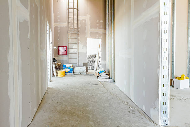 Mold Removal for HVAC Installations in Alamosa, CO