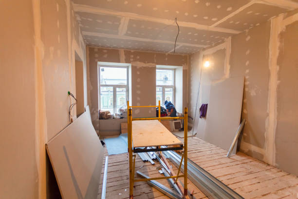 Alamosa, CO Mold Removal Company